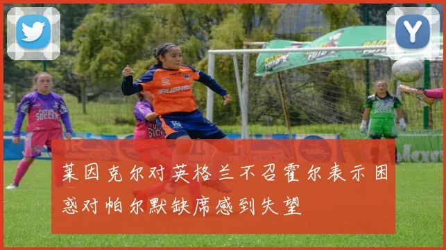 莱因克尔对英格兰不召霍尔表示困惑对帕尔默缺席感到失望